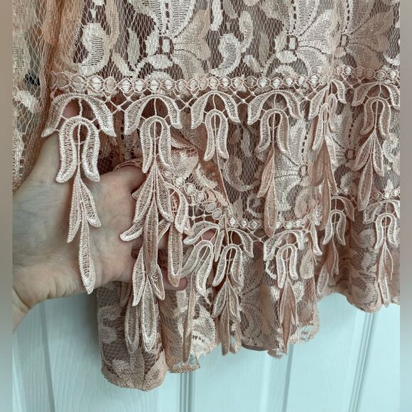 Le Art Vintage Pink Champagne Lace Layered Long Sleeve Dress Women’s Size 10 - Picture 5 of 10
